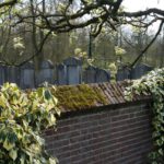 Tuin Siebers